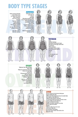 Thyroid Body Type