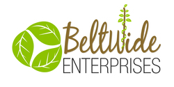 Beltwise Enterprises