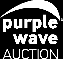 Purple Wave Auction