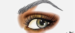 Beautiful People of Birmingham Brows & Lashes