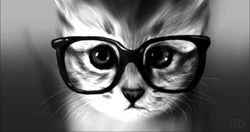 Eccentric Cat