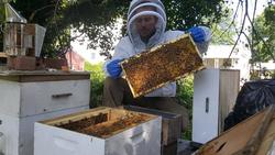 East Coast Honey.com