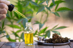 EastCoastHealthyLiving.com