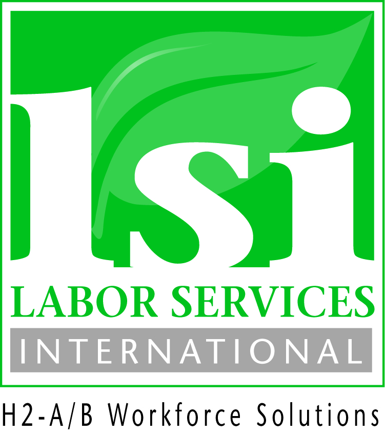 Labor Services International