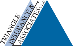 Triangle Risk Advisors, Inc